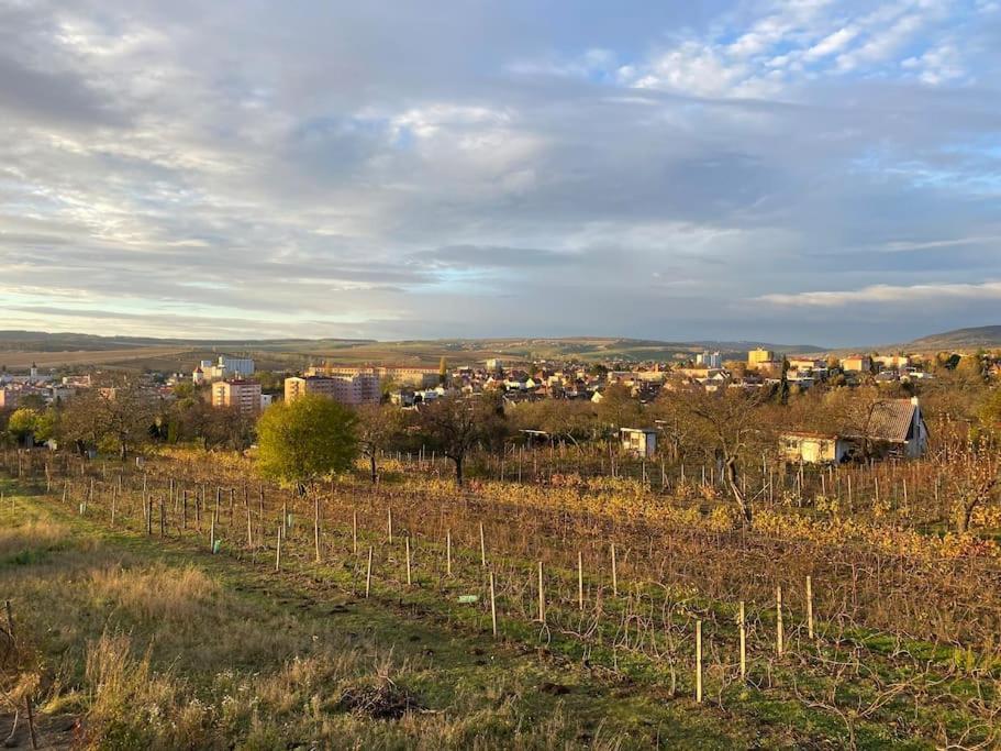 Kyjoff - Domecek S Krasnymi Vyhledy Villa Kyjov  Bagian luar foto
