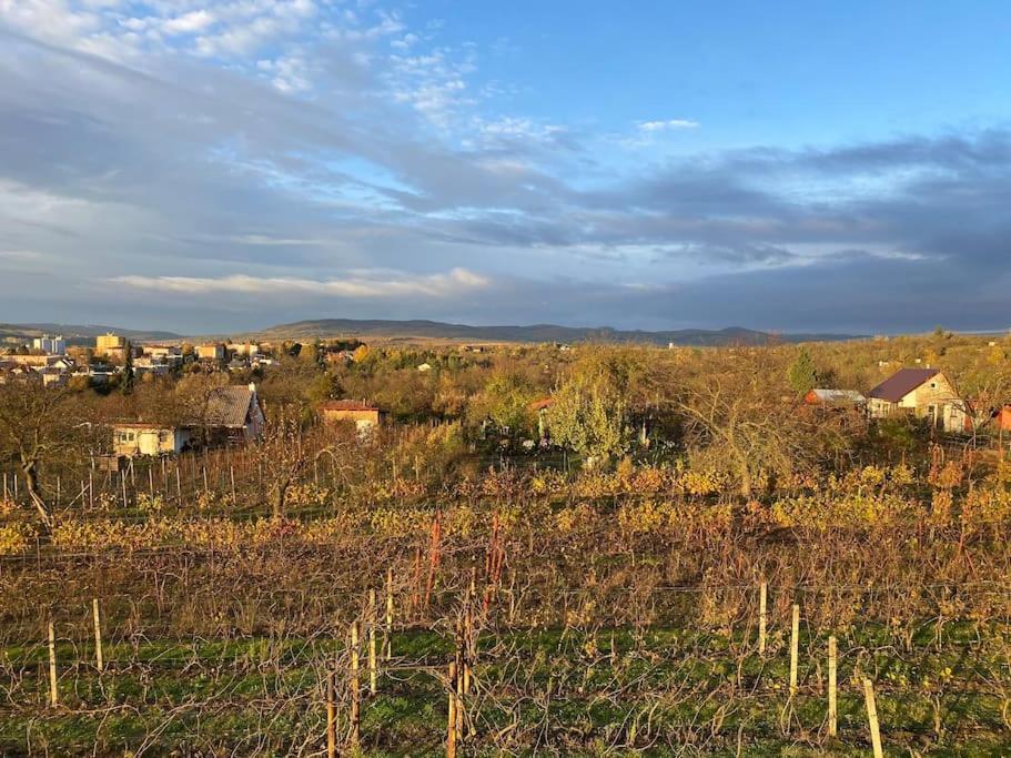 Kyjoff - Domecek S Krasnymi Vyhledy Villa Kyjov  Bagian luar foto